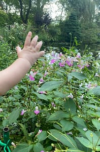 Dans les yeux d'Alaïa à Giverny