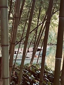 Au fil de l'eau à Giverny