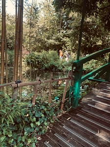 Au fil de l'eau à Giverny