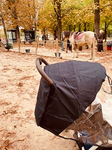 Poney au jardin du Luxembourg