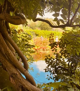 Au fil de l'eau à Giverny