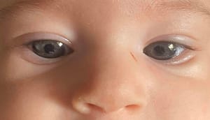 Dans les yeux d'Alaïa